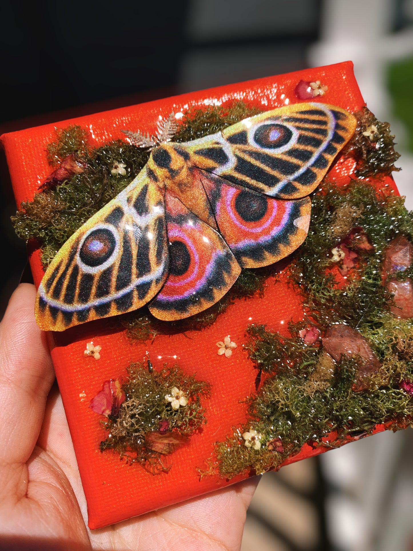 Zaddachs Emperor Moth Canvas
