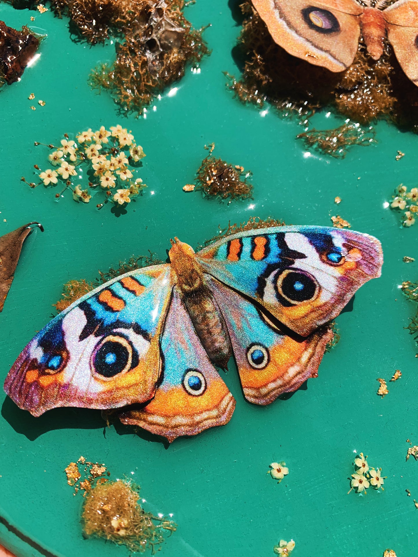70s Vibes Moth Wall Hanging