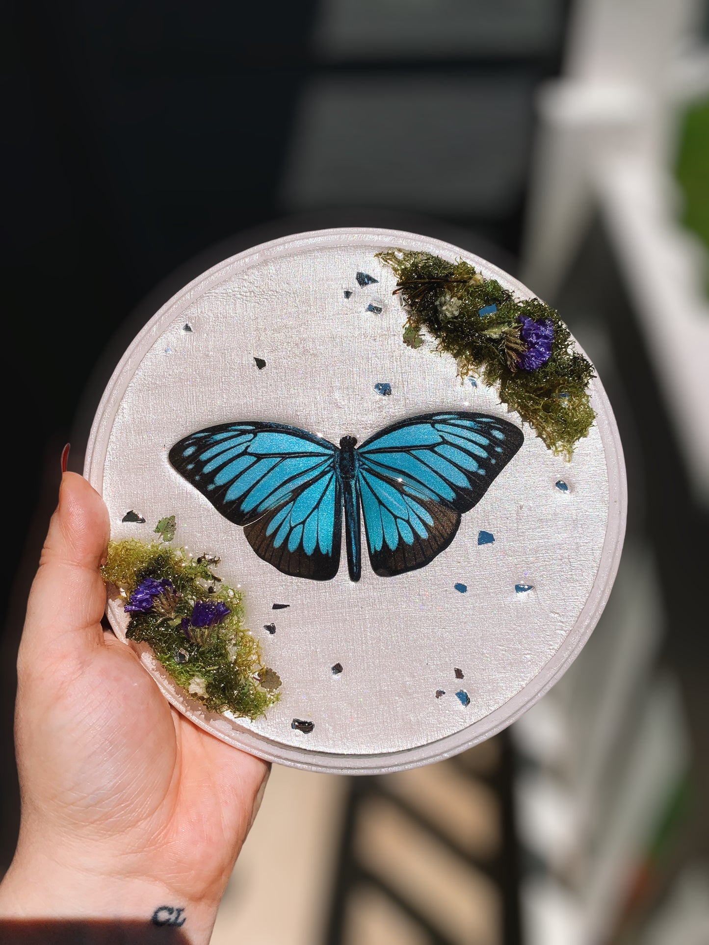 Baby Blue Butterfly