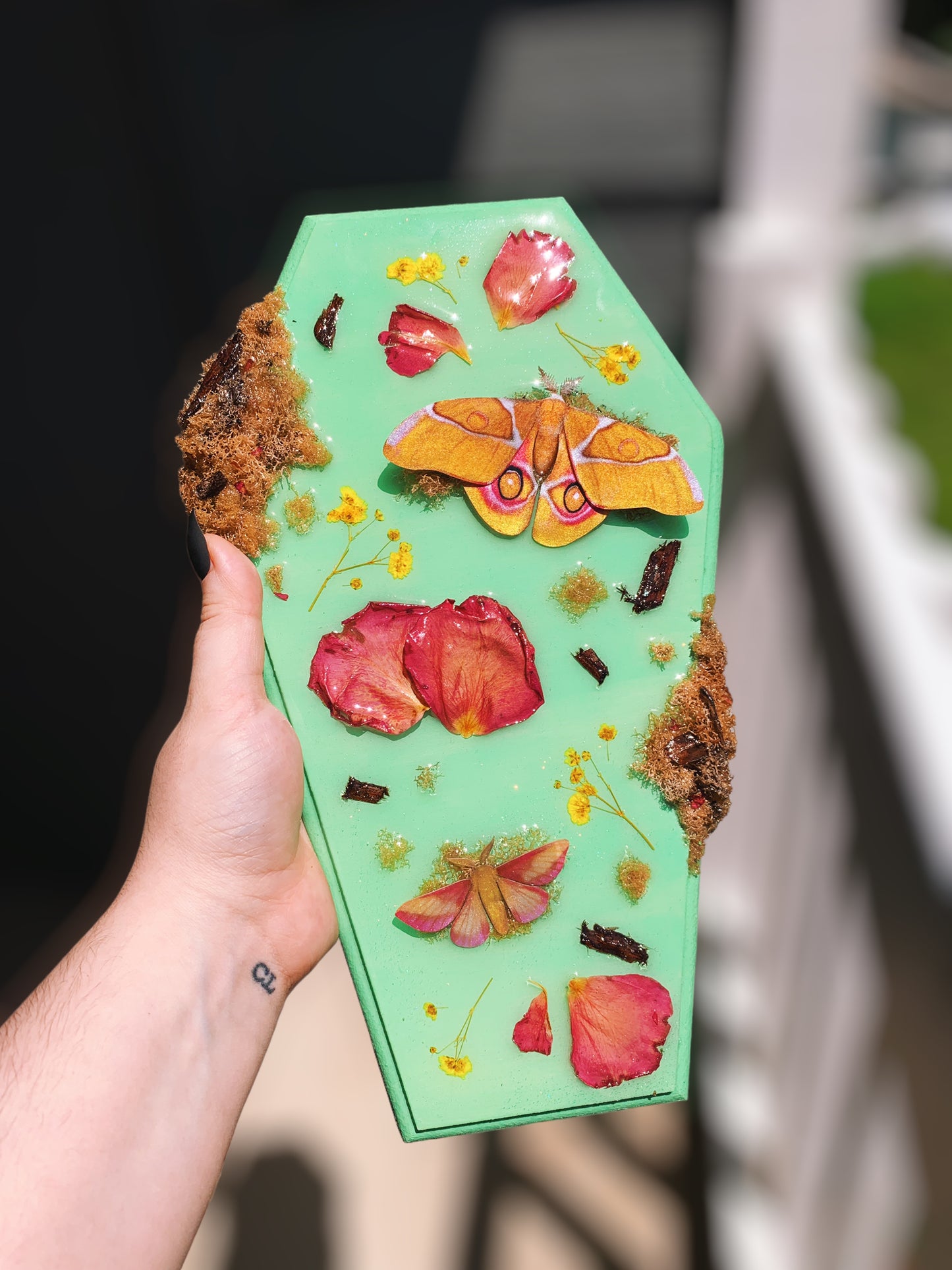 Bullseye Silk Moth Coffin Wall Hanging