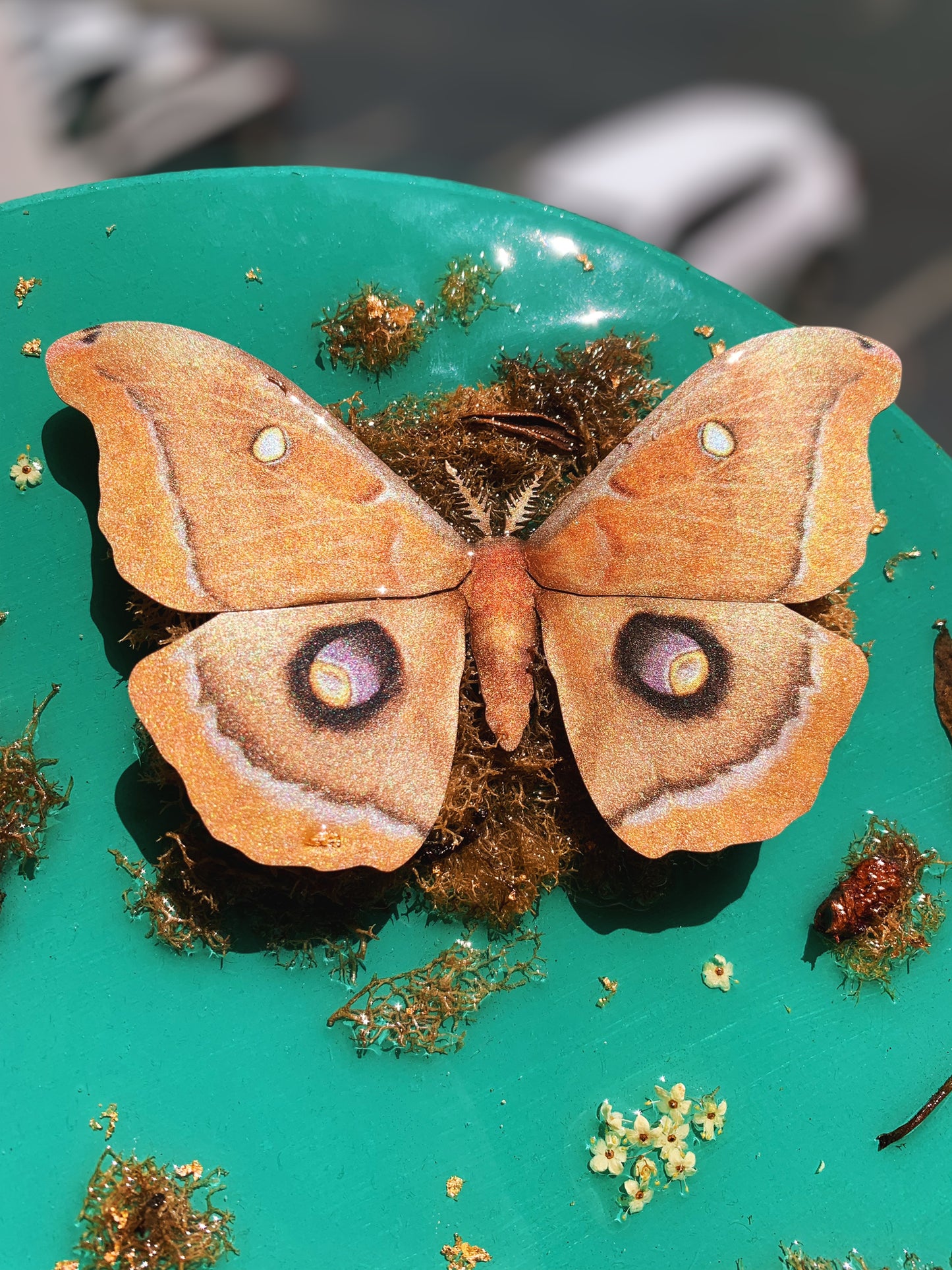 70s Vibes Moth Wall Hanging