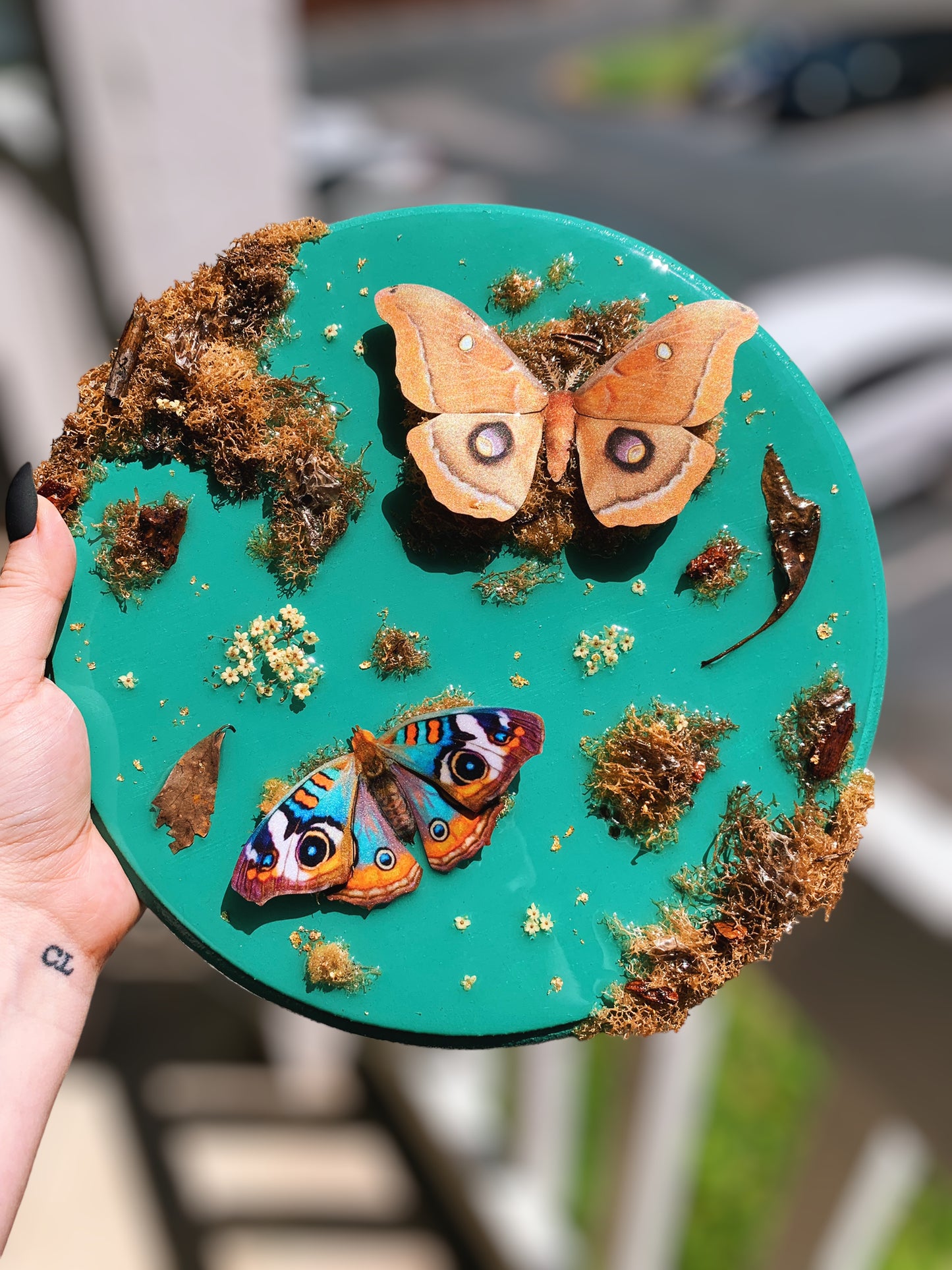 70s Vibes Moth Wall Hanging