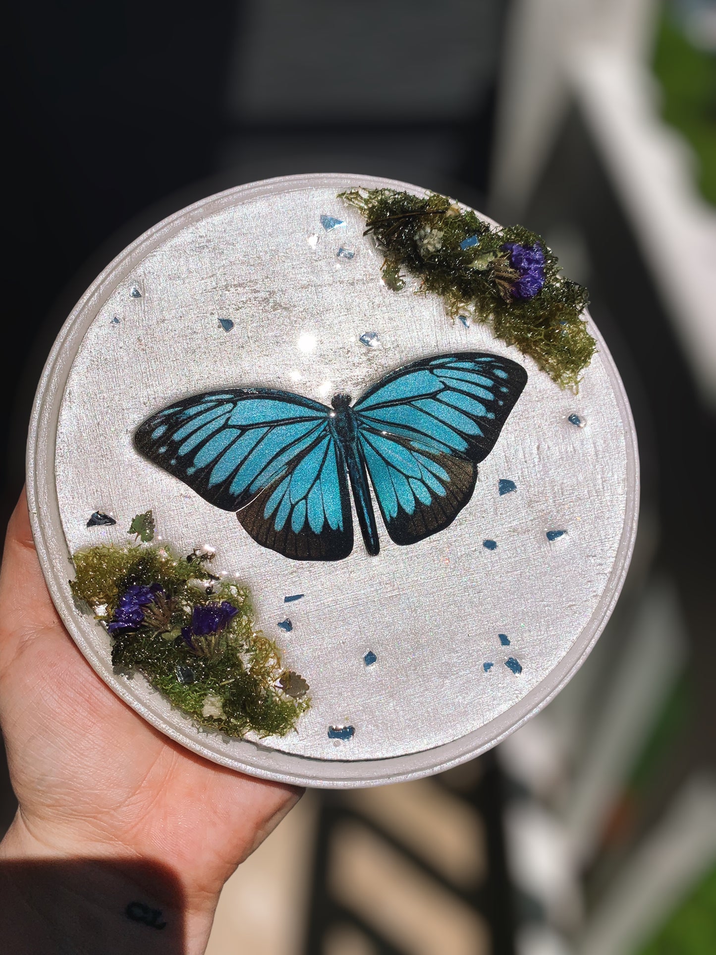 Baby Blue Butterfly