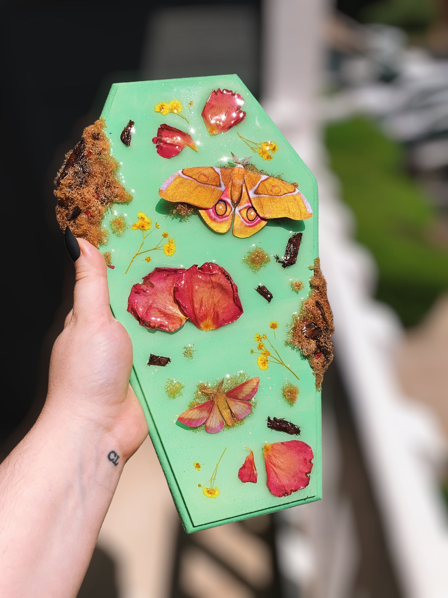 Bullseye Silk Moth Coffin Wall Hanging