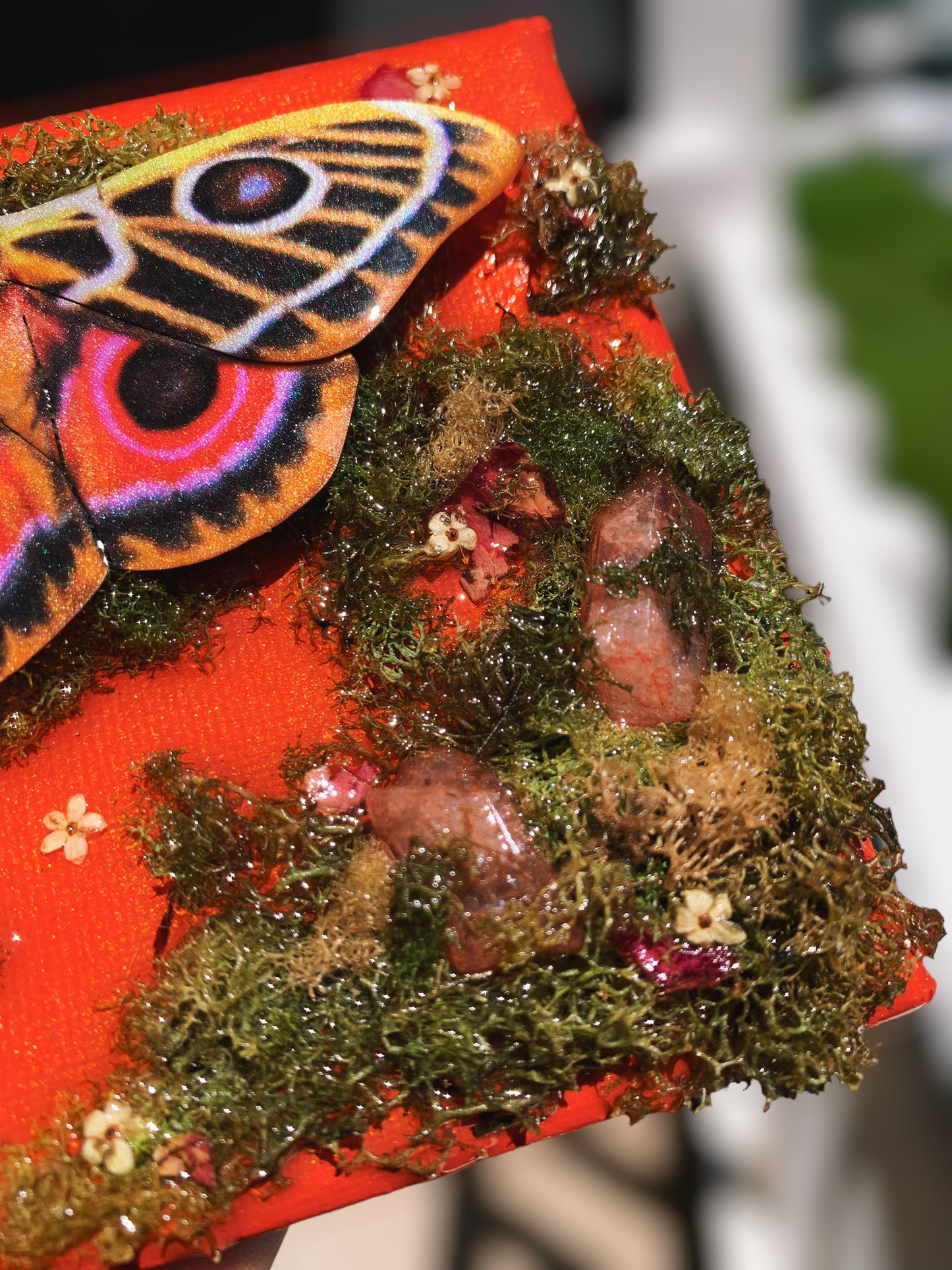 Zaddachs Emperor Moth Canvas