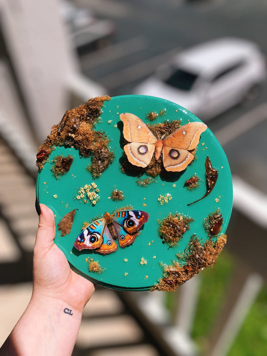 70s Vibes Moth Wall Hanging